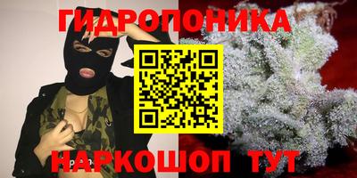 ALPHA PVP Дубна